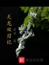 天龙双刃记